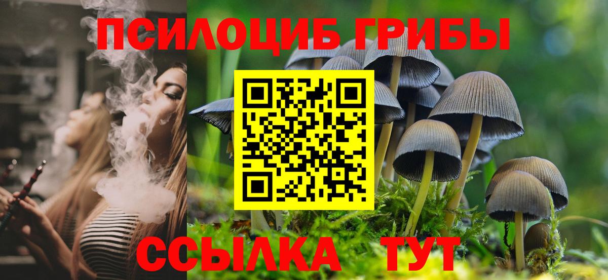 Псилоцибиновые грибы прущие грибы Корсаков